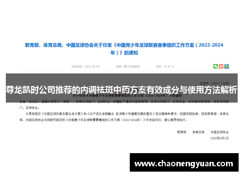 尊龙凯时公司推荐的内调祛斑中药方案有效成分与使用方法解析
